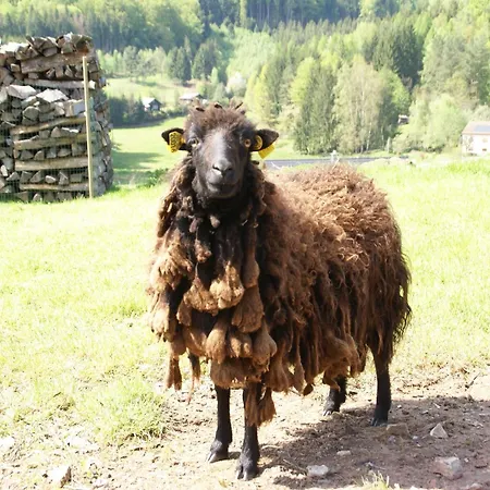 In Near Forest & Lakes *