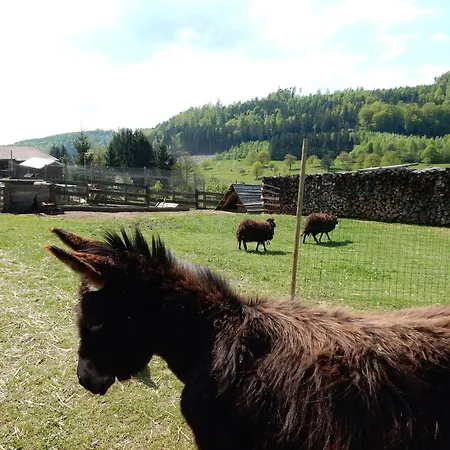 In Near Forest & Lakes Hébergement de vacances Walscheid