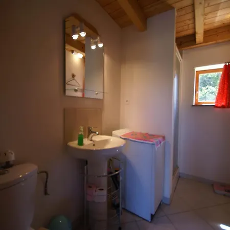 In Near Forest & Lakes *