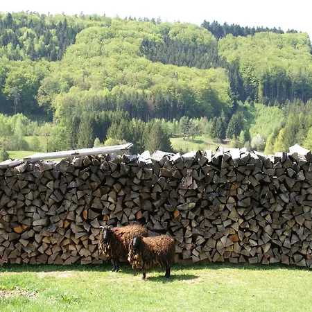 In Near Forest & Lakes