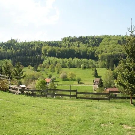 In Near Forest & Lakes *