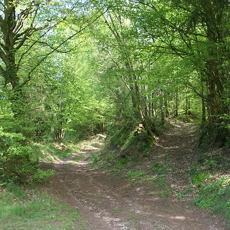 In Near Forest & Lakes