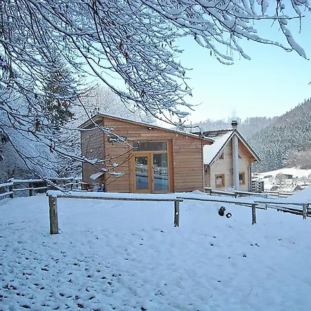 In Near Forest & Lakes