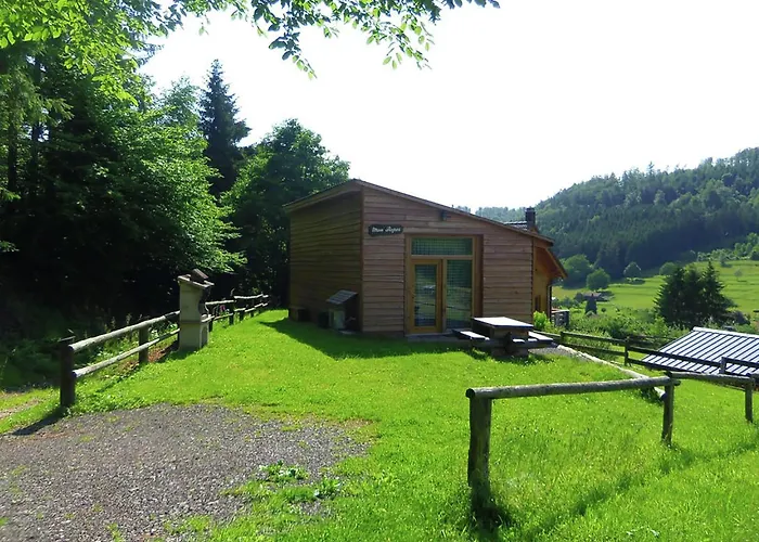 In Near Forest & Lakes *