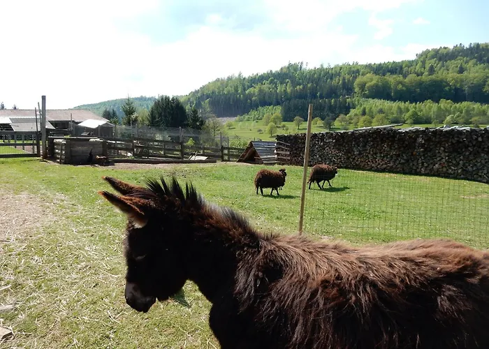In Near Forest & Lakes Ferienhaus Walscheid