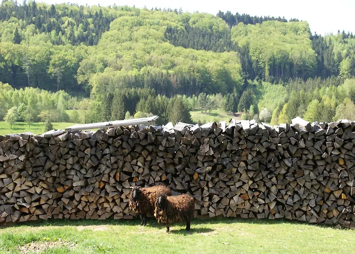 In Near Forest & Lakes