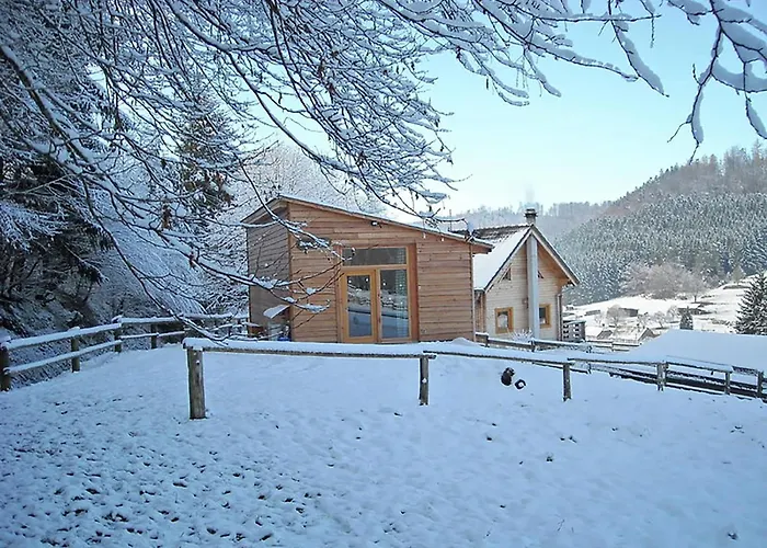 In Near Forest & Lakes